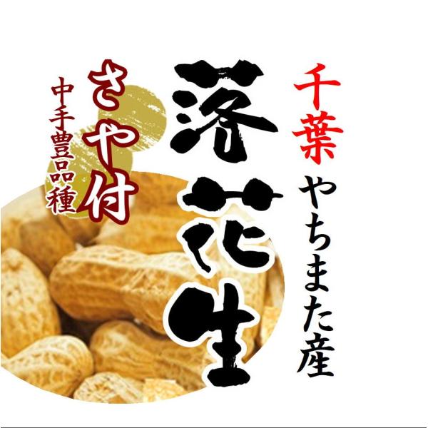 落花生缶詰 さや付落花生 70g : 海苔・落花生・千葉名産のカネス