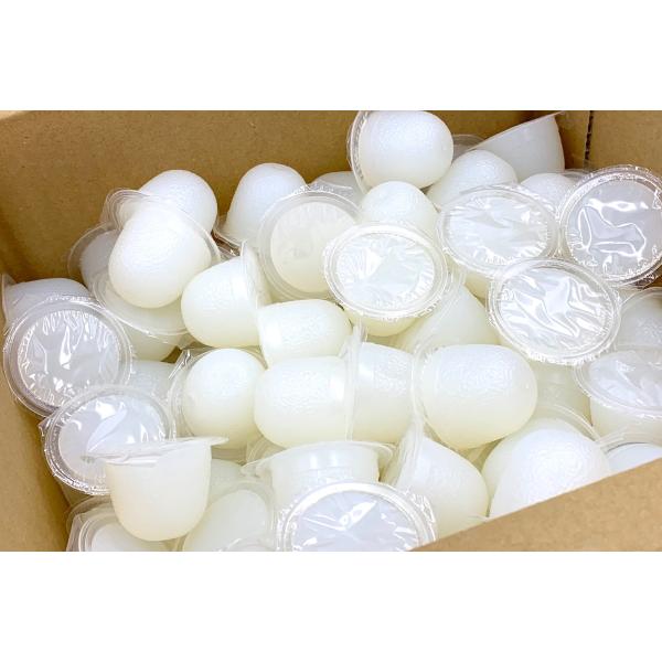 クワガタ　カブト虫　カブトムシ　エサ　昆虫ゼリー　高タンパク　ゼリー入り数：200個