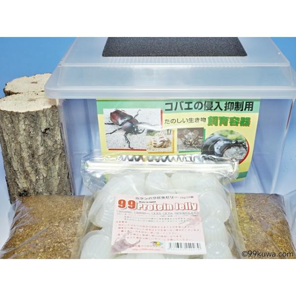 オオクワガタ産卵採卵セット