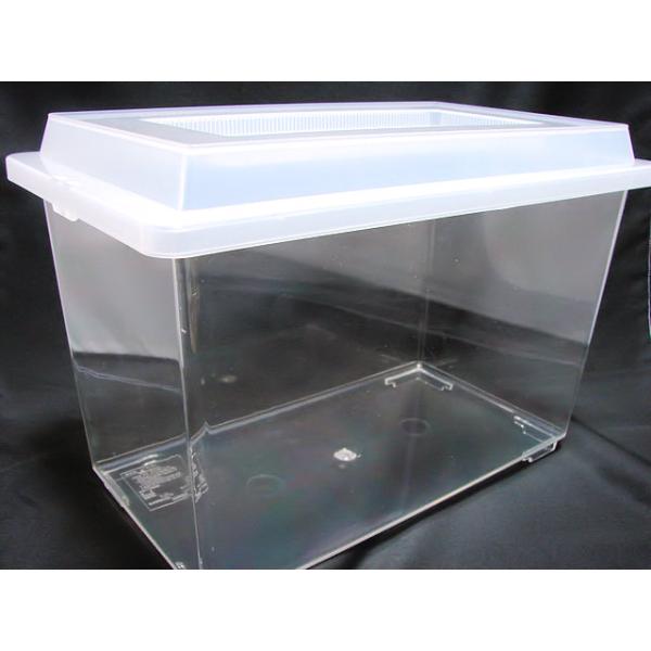 クワガタ　カブトムシ　コバエ防止　コバエ抑止　飼育ケースコバエの侵入を抑制するケースです。通常の飼育ケースと異なり昆虫用に作られていますので乾燥を防ぎ保湿効果があります。 大ケースは大型のカブトムシの飼育や産卵セットにお勧めです。数量：1個...