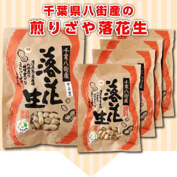 千葉の落花生セット 6g 千葉県のお土産詰め合わせ 八街産 ナカテユタカ 半立 国産 煎ざや ピーナッツ チーバくん物産館 Buyee Buyee Jasa Perwakilan Pembelian Barang Online Di Jepang