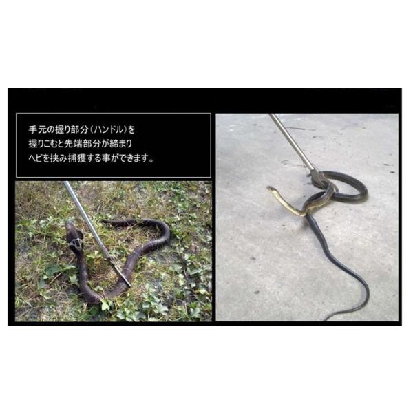 アルミ製 一撃必殺 ヘビ捕獲棒 アウトドア つかみ棒 蛇 捕獲 捕る 捕まえる ヘビ捕獲棒 捕獲用 スネークキャッチ ◇CH-SNAKE100