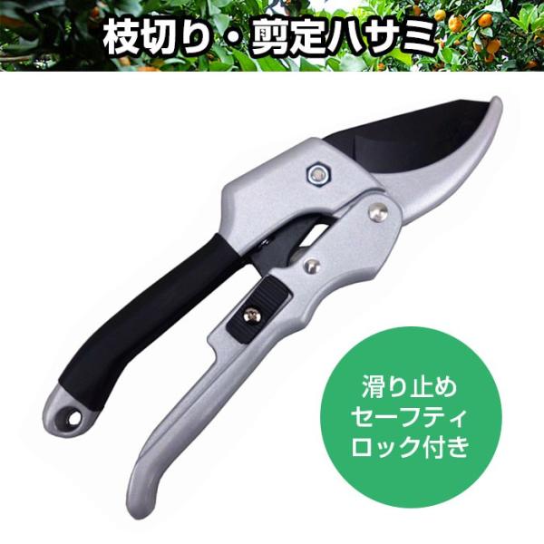 セーフティロック付き 枝切り 剪定ハサミ 剪定鋏 盆栽 庭木の剪定 植木のお手入れ ゆうパケットで送料無料 Chi Sk 5 Buyee Buyee Japanese Proxy Service Buy From Japan Bot Online