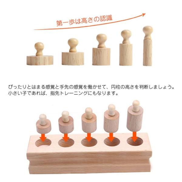 木製 円柱さし 4本セット モンテッソーリ教育に おもちゃ 知育玩具 幼児 早期 教材 はめこみ 形合わせ ブロック パズル 入園祝い 子供 幼児教育 Chi Ttm 0161 Buyee Buyee Japanese Proxy Service Buy From Japan Bot Online