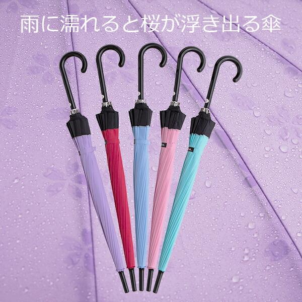 傘 レディース 桜浮きでる傘 ウォーターフロント 16本骨浮き出しサクラ手開き長傘 女性 学生 受験生 雨傘 全5色 親骨55cm Waterfront T16us 1l55 Uh 2 Wf 145 傘とハッピー雑貨シッククローバー 通販 Yahoo ショッピング
