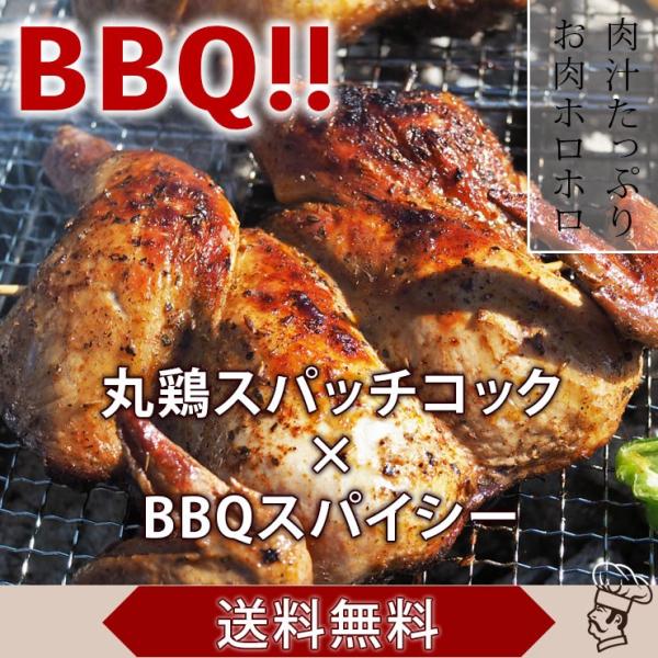 送料無料 バーベキュー q 鶏の丸焼き スパッチコック 丸鶏 1羽 惣菜 ボリューム スパイシー グリル 生 肉 チルド アウトドア パーティー q Spatch Sp グルメマイスター Yahoo 店 通販 Yahoo ショッピング