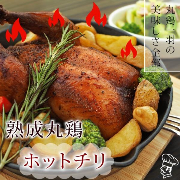 ローストチキン 丸鶏 ホットチリ 1羽 1.2kg 肉 生 チルド ギフト パーティー