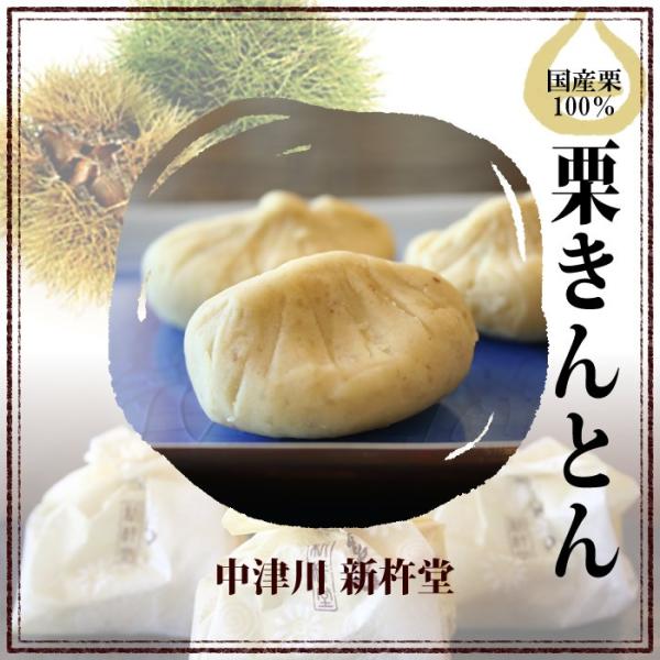 栗きんとん 中津川 和菓子 6個入り 412701ちこり村 通販 Yahoo!ショッピング