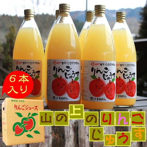 j Mtg W[X 񂲃W[X Xg[g Mtg MB   SW[X 1,000×6{