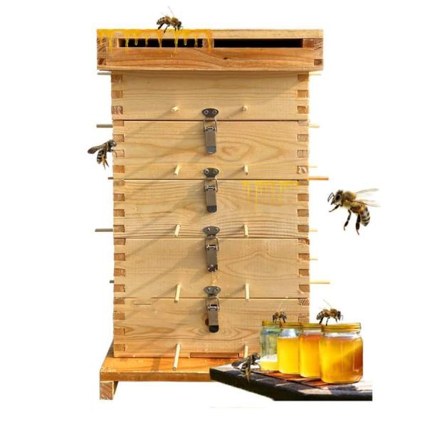 ★ユニークなデザイン:蜂の巣巣礎を必要としない。竹串で代用する。蜂蜜を取るのは簡単で、繰り返し取り出す必要がなくて、ミツバチに対する妨害を減らします。★より安全:養蜂箱網の設計があり、外の昆虫から蜂を守ることができます。掃除はもっと便利で、...