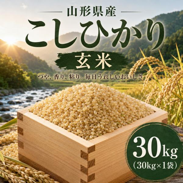 令和7年産 山形県産 こしひかり【玄米】30kg（30kg×1袋）《数量限定・送料無料》（但し沖縄県・離島へ配送の場合のみは1,500円を送料加算させていただきます）