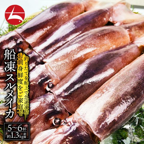 (a014-01)青森 八戸港 特産 船凍スルメイカ 4〜6杯(約1.3kg) 鮮度が違う 絶品するめいかを肝醤油を絡めてお刺身でどうぞ