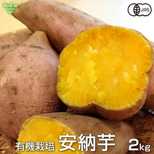 南国の鹿児島の名産品さつまいも。さつまいもの種類の中でも人気の高い品種が「安納芋」です。収穫し始めの10月頃までは、甘さ控えめでさっぱりした風味と、新ものならではのホクホク感が味わえます。地球畑の安納芋は、皆様に安心してお召し上がり頂ける様...