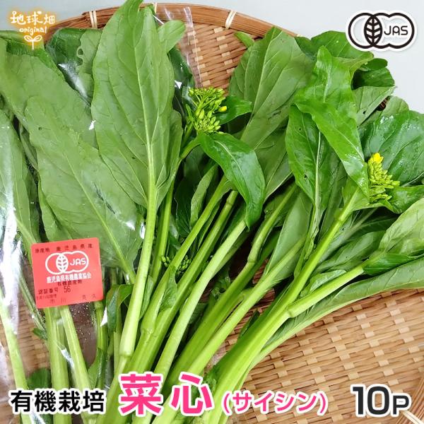アスパラ菜 150g 10p 有機栽培 鹿児島県産 オータムポエム 菜心 愛味菜 チョイサム さいしん 冷蔵便 送料無料 オーガニック Organic アジア野菜 Autumnpoem 地球畑 通販 Yahoo ショッピング