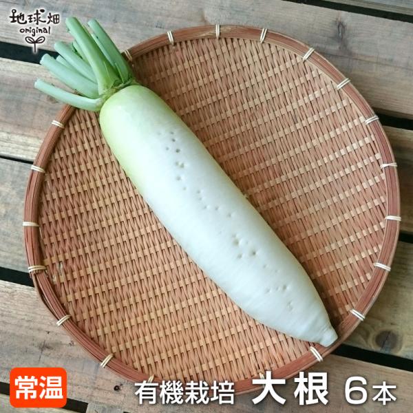 【商品名】有機栽培　大根（洗い・袋入り）【内容量】6本（1本あたり800g〜1.2kg）（有機JAS認証マーク付き）【保存方法】濡らした新聞紙などで全体を包んで袋に入れ、野菜室で保管ください。【配送】常温便
