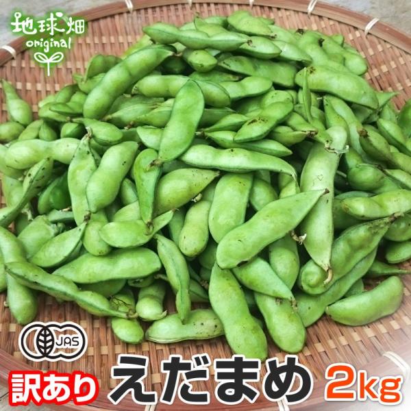 訳あり】えだまめ 2kg 有機栽培 鹿児島県産 枝豆 えだ豆 枝まめ エダマメ 無農薬 無選別 冷蔵便 B品 自宅用 わけあり /【Buyee】 訳あり】えだまめ 2kg 有機栽培 鹿児島県産 枝豆 えだ豆 枝まめ エダマメ 無農薬 無選別 冷蔵便 B品 自宅用 わけあり /【Buyee】