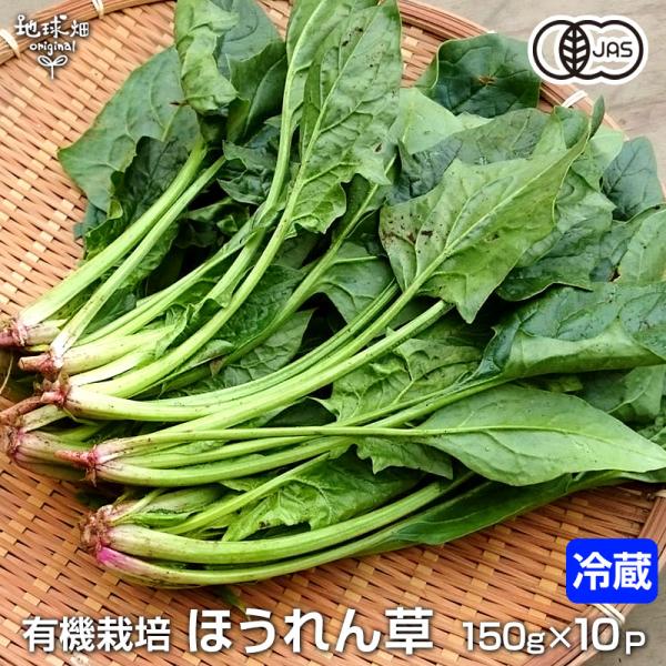 【商品名】有機栽培　ほうれん草【内容量】150g×10パック（有機JAS認証マーク付き）【配送】冷蔵便【保存方法】濡らした新聞紙などで全体を包んで袋に入れ、野菜室で保管します。【備考】化学肥料・農薬を使用しておりませんので、若干の虫食いがあ...