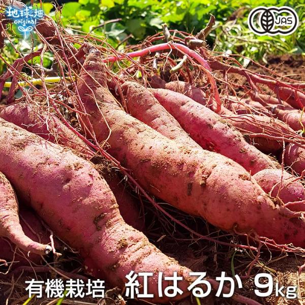 熊本県産さつまいも 紅はるか 自然栽培20kg 木曜日発送！ 熊本県産さつまいも 紅はるか 自然栽培20kg 木曜日発送！