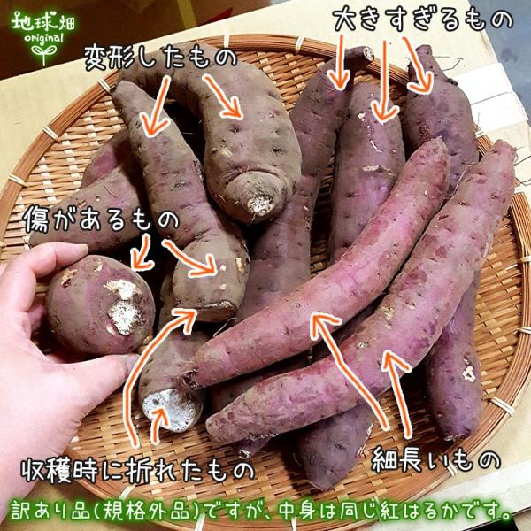 訳あり 紅はるか 9kg 有機栽培 鹿児島県産 宮崎県産 訳アリ B品 土付き さつまいも サツマイモ からいも べにはるか 国産 無農薬 オーガニック Buyee Buyee Japanese Proxy Service Buy From Japan Bot Online