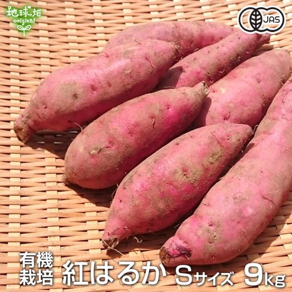 ◆おいしく頂くコツ◆掘り始めの8月〜10月頃までは、蒸して食べるのがおすすめです。他にも焼き芋・天ぷら・おいもごはん・お味噌汁やスイーツなど、お料理やお菓子作りにもどうぞ。お手頃サイズなので、蒸かして冷凍したものを離乳食にしたり、お子様のお...