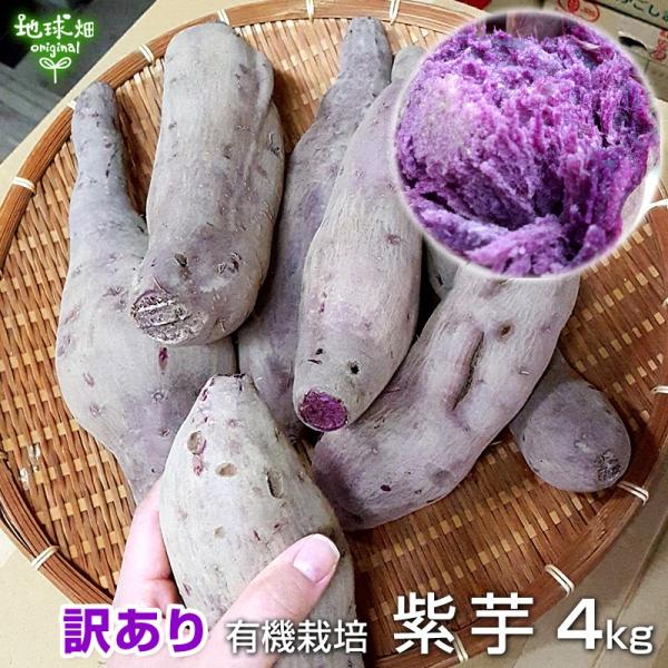 󂠂  4kg L@͔| Y {茧Y A Bi yt  p[vXC[g[h iJTL ނ炳 ܂ 9`12