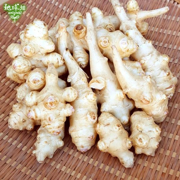 菊芋 4kg 化学肥料 農薬不使用 宮崎県産 鹿児島県産 熊本県産 オリゴ糖 きくいも キクイモ 生 無農薬 Kikuimo 2kg 地球畑 通販 Yahoo ショッピング