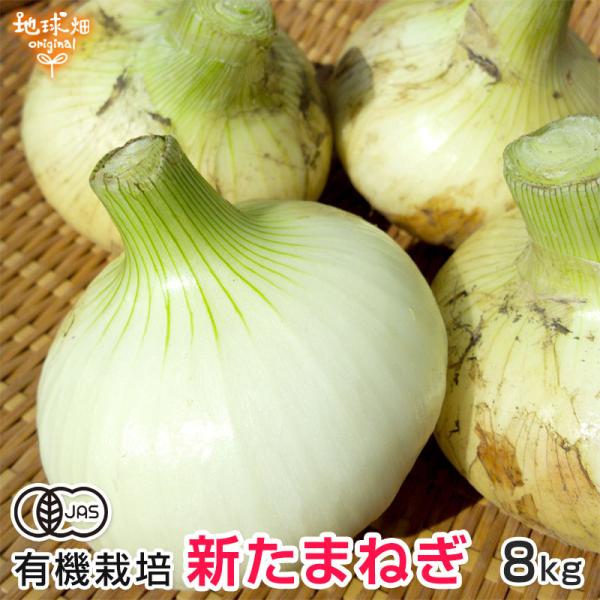 オーガニック 新たまねぎ 8kg 有機栽培 鹿児島県産 タマネギ オーガニック 新たまねぎ 8kg 有機栽培 鹿児島県産 タマネギ