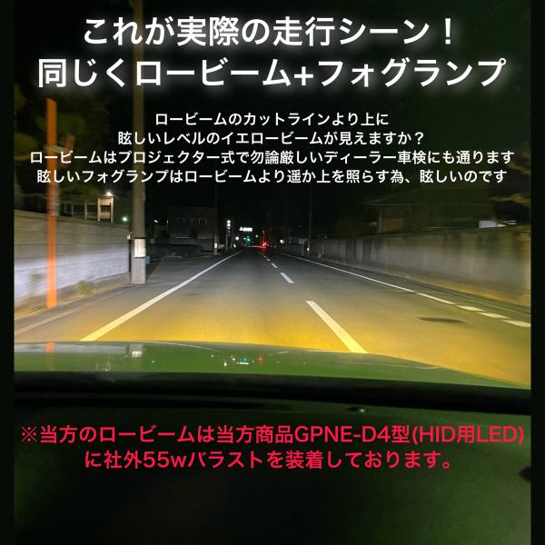 chillminati_gekko_11_d_20230324123729