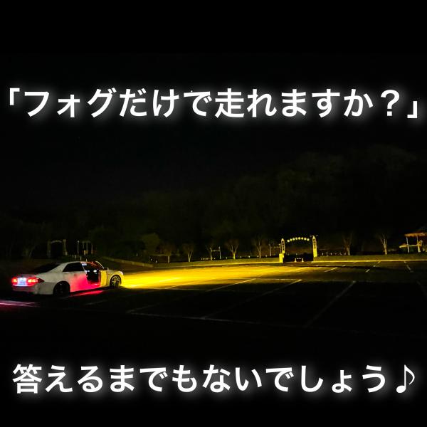 chillminati_gekko_2_d_20230324123445