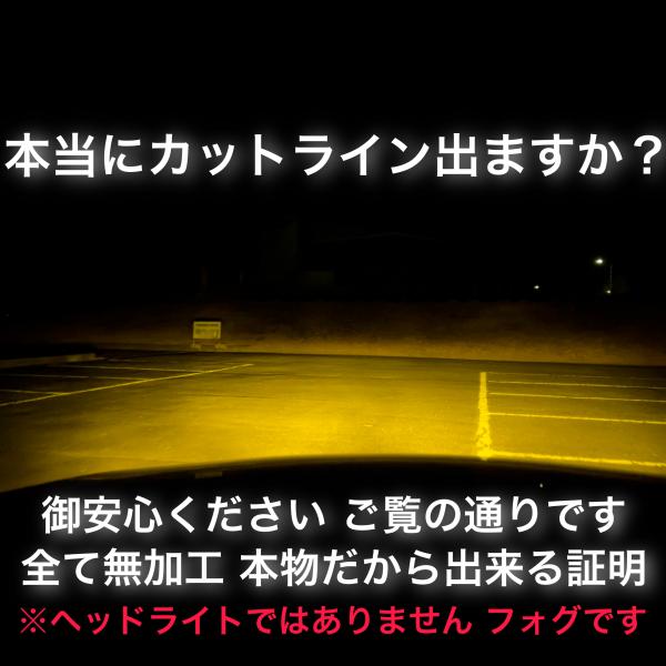 chillminati_gekko_3_d_20230324123447