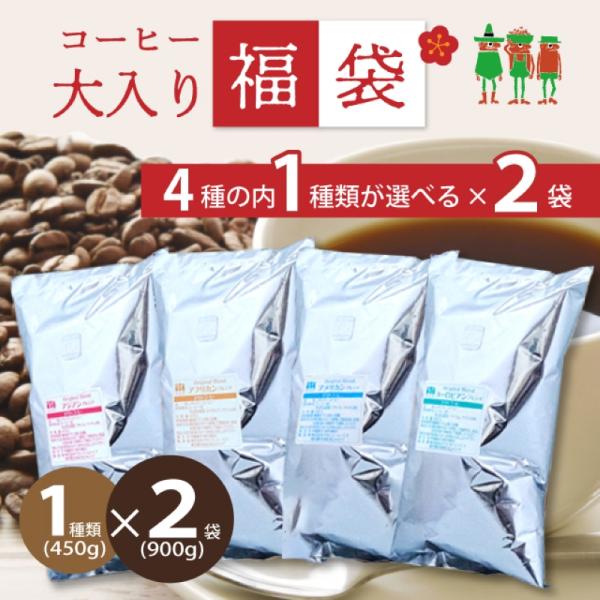 コーヒー コーヒー豆 送料無料 珈琲 超 大入り福袋 選べる4大陸横断コーヒー 1種類×2袋 900g入り！ （450g×2袋） 【90杯分】 まとめ買い