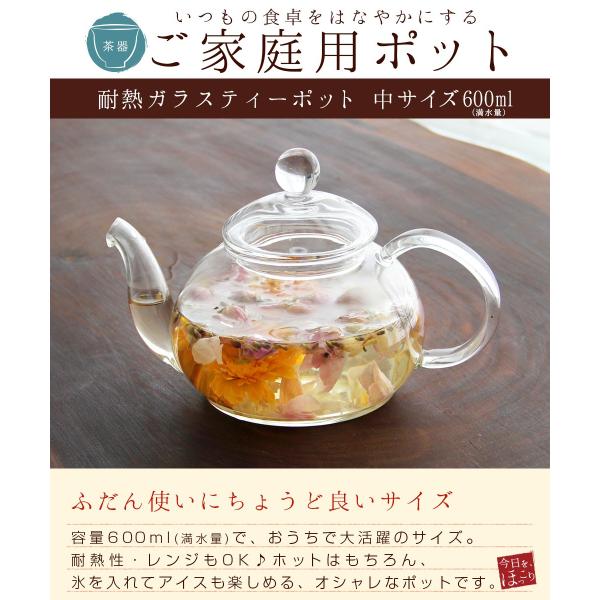 耐熱ガラス ティーポット 茶こし付き おしゃれ 中サイズ 満水 600ml Buyee Buyee Japanese Proxy Service Buy From Japan Bot Online