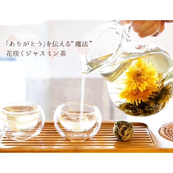 母の日 21 プレゼント ギフト 花 フラワーギフト カーネーション お茶 花咲く ジャスミン茶 工芸茶 プチギフト メール便 New Md Buyee Buyee Japanese Proxy Service Buy From Japan Bot Online
