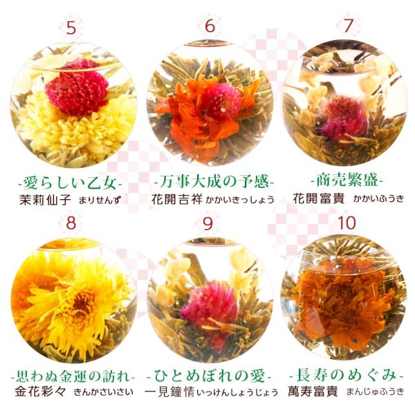 プレゼント カーネーション 花 咲く 花茶 工芸茶10種 セット フラワー ギフト ジャスミン茶 プチギフト メール便 New Buyee 日本代购平台 产品购物网站大全 Buyee一站式代购 Bot Online
