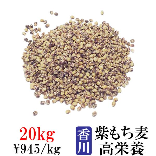 讃岐もち麦 ダイシモチ 20kg 紫もち麦ごはん 国産 業務用 20キロ