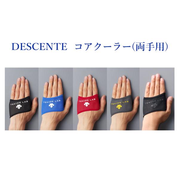 タグ無し未使用保管品 DESCENTE デサント ワンピース リサイクルソロテックスワンピース | デサントゴルフ公式