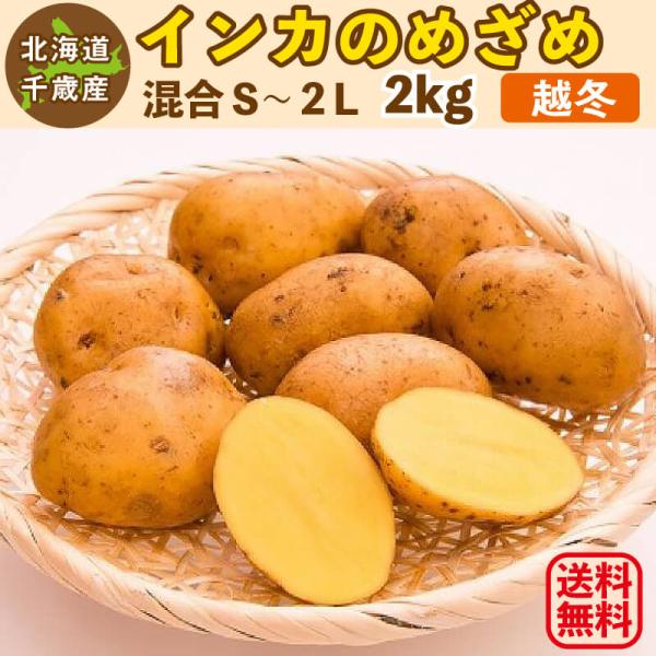 じゃがいも 2lの人気商品 通販 価格比較 価格 Com