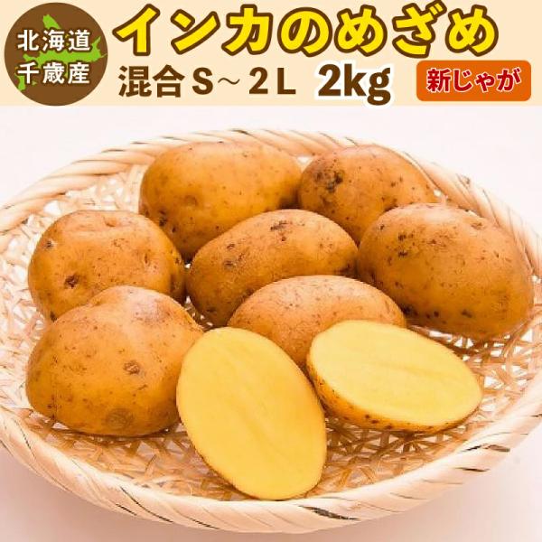 インカのめざめ　2 インカのめざめ2kg(送料込) | とみたメロンハウス