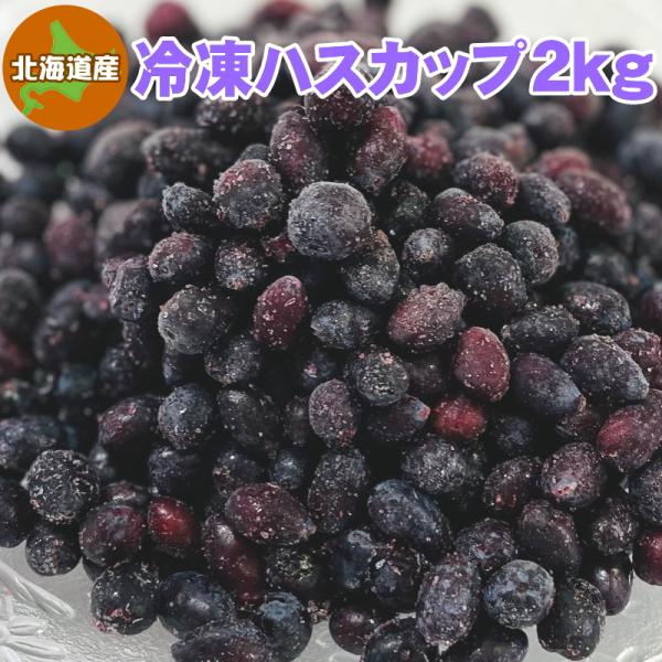超新作】 北海道の果実 令和5年収穫ハスカップ 冷凍 ５kg thebabysense.ca