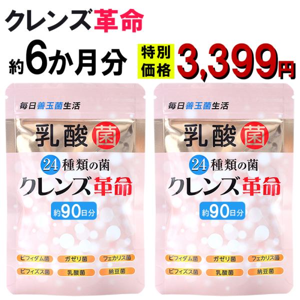 クレンズ革命 お得6ヶ月分2袋 5兆個 善玉菌のチカラ スッキリ 腸活 ダイエットサプリ 腸内フローラ 納豆菌 乳酸菌 菌活 悪玉菌 ガセリ菌 ビフィズス菌 体内 国産