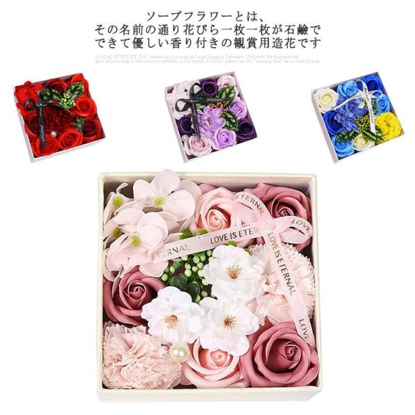 ̓  \[vt[ ΂ Ό  AWg {bNXt[ ̓  e c  t[Mtg a v[g 