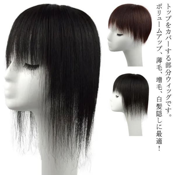  EBbO l100% ×pEBbO A ~ZX R     B Xg[g gbvJo[ wAs[X