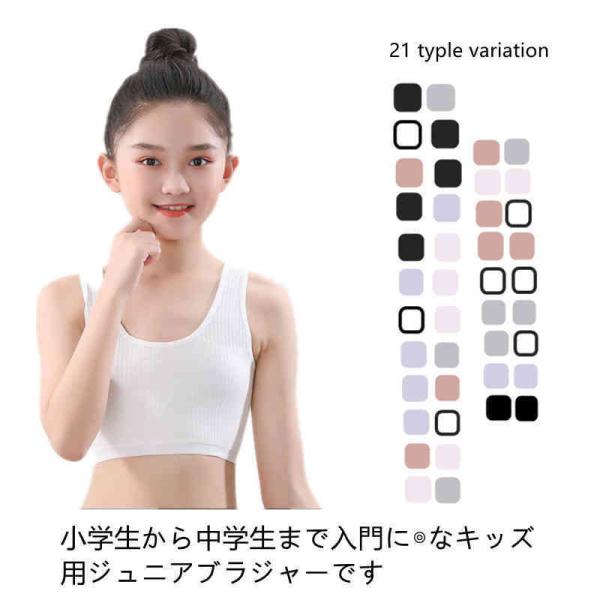  2_Zbg LbYuW[ WjAu X|[cuW[ qpuW[ w w ̎q u WjAu   m