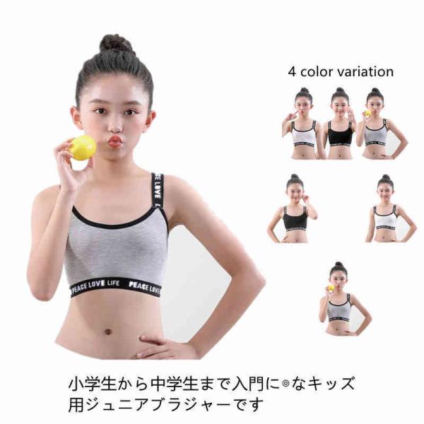  3_Zbg X|[cuW[ LbYuW[ WjAu qpuW[ w w ̎q u WjAu   m