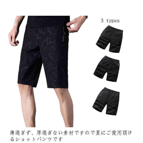  n[tpc Y J[Spc Zp X|[c n 傫TCY ̑ hC z  _Xpc  Y{ XEFbg