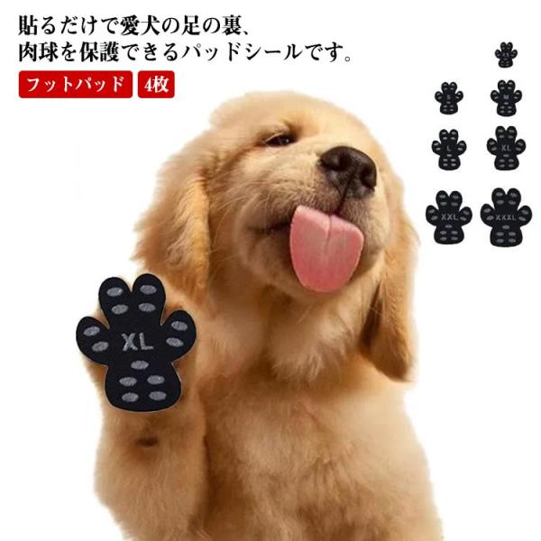 滑り止め シール - ペットの人気商品・通販・価格比較 - 価格.com 滑り止め シール - ペットの人気商品・通販・価格比較 - 価格.com