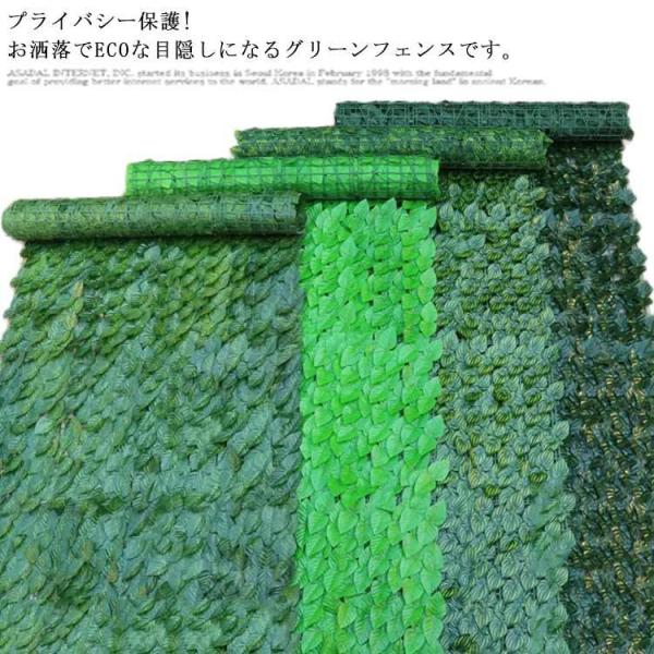 12MEʉi! O[tFX ډB O[J[e [ttFX ΂̃J[e ډBtFX x_  t J[e