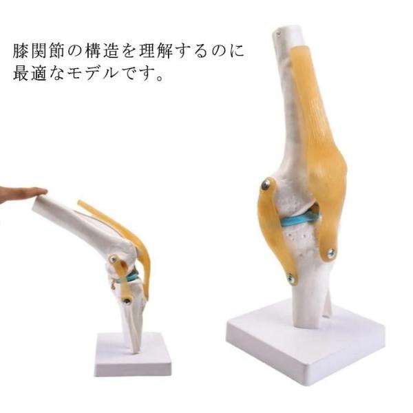 G֐ ͌^ G͌^ l̖͌^ ڍ  C ֐߃f GWx GW  G̖͌^ Gf l̃f i͌^  ͌^ U͌^ 