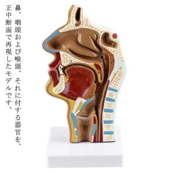 l̖͌^ @   A fʖ͌^ l ͌^ @͌^ ͌^ ͌^ A͌^ @f f f Af l̃f