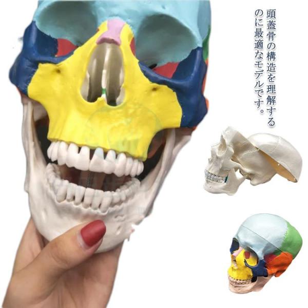 l̖͌^ W  F W͌^ Wf XJ { hN  [ [ iW{ i͌^ ͌^ f O 